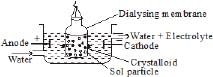 Purification of Colloidal Solutions | Additional Study Material for JEE